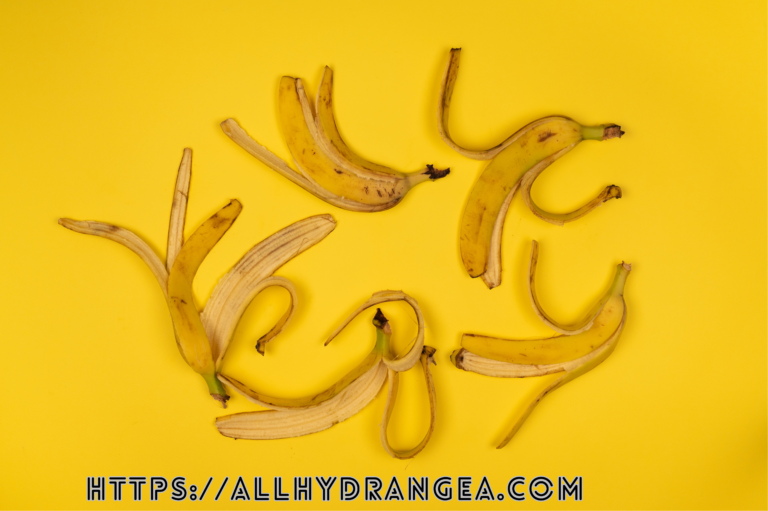 Are Banana peels Good for Hydrangeas?